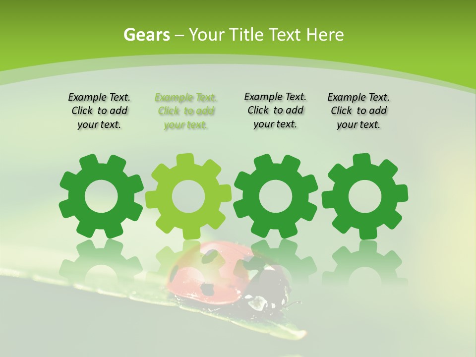 Color Beautiful Smooth PowerPoint Template