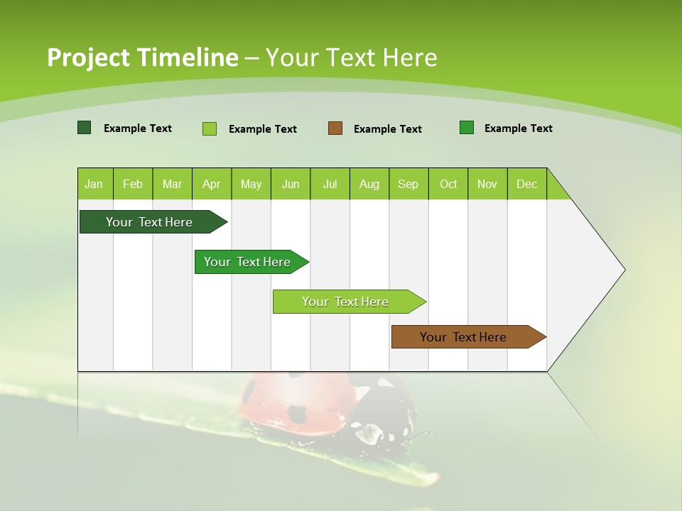 Color Beautiful Smooth PowerPoint Template