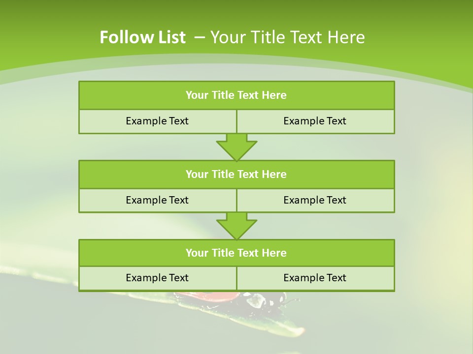 Color Beautiful Smooth PowerPoint Template