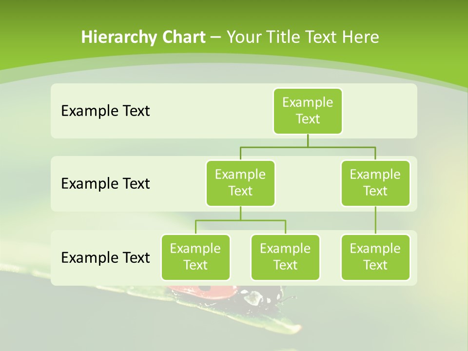 Color Beautiful Smooth PowerPoint Template