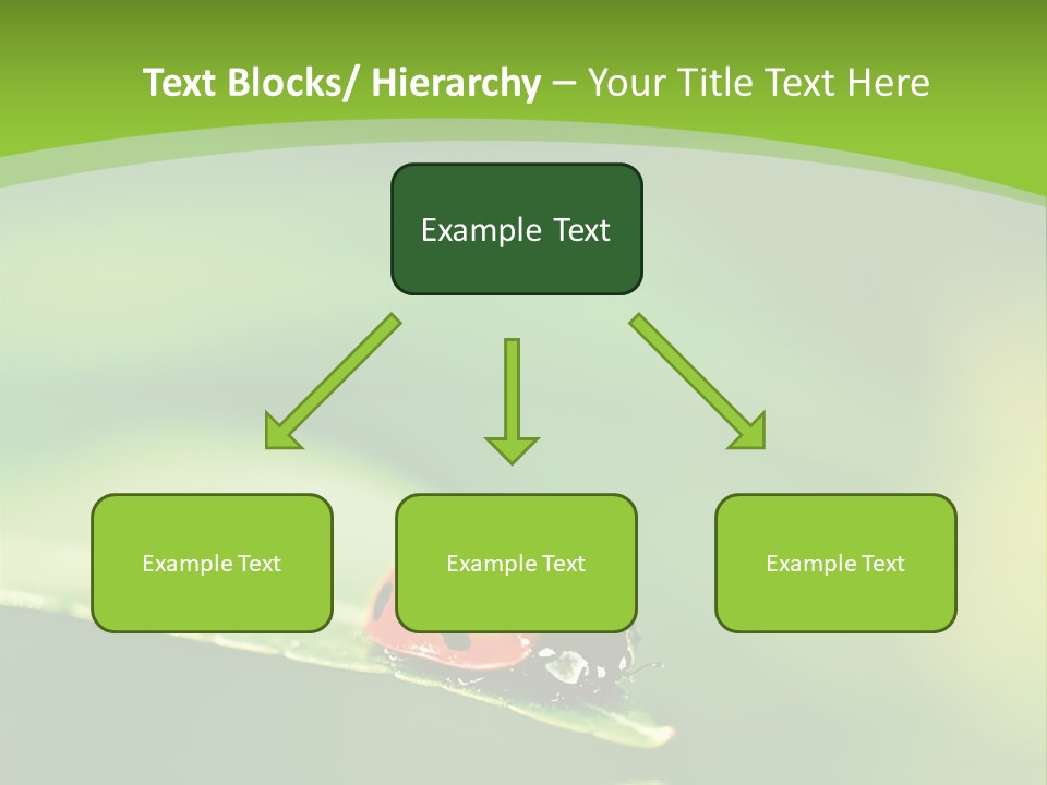 Color Beautiful Smooth PowerPoint Template