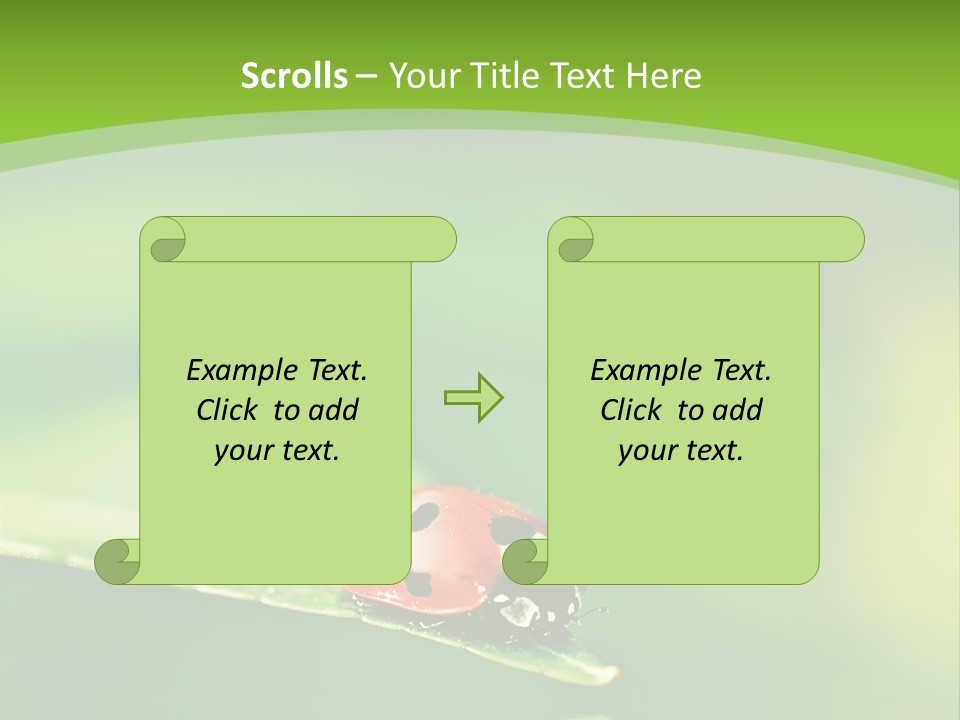 Color Beautiful Smooth PowerPoint Template