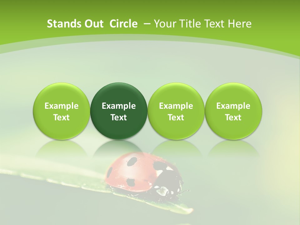 Color Beautiful Smooth PowerPoint Template