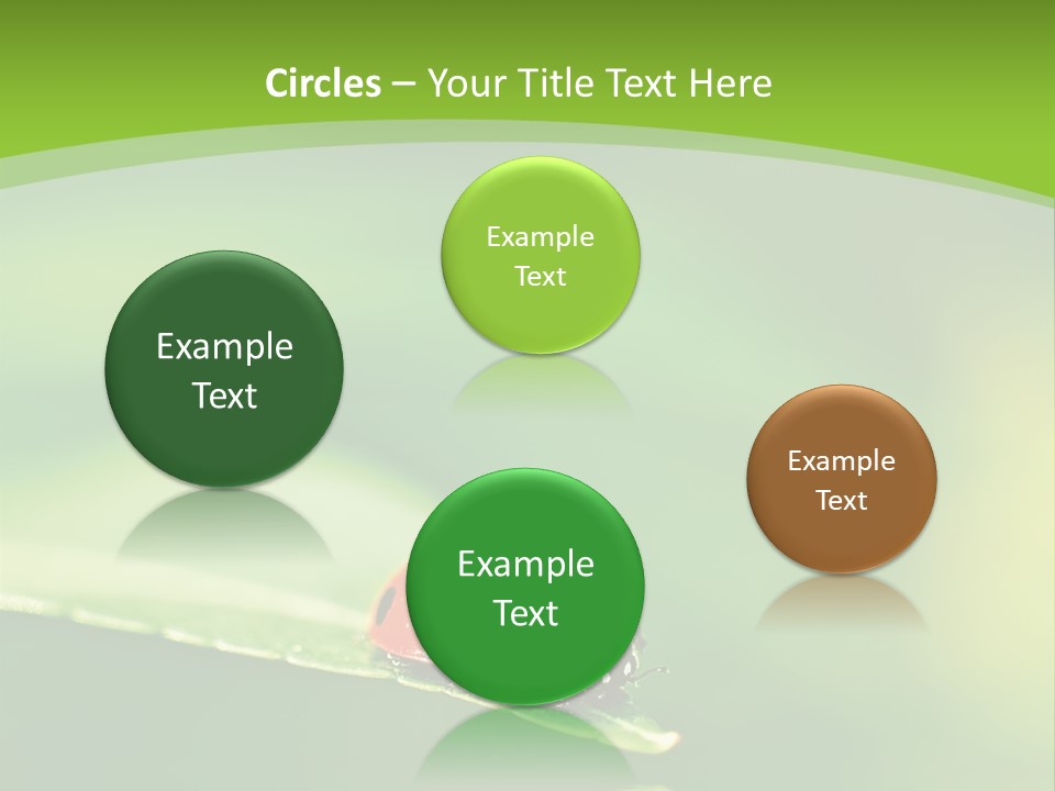 Color Beautiful Smooth PowerPoint Template