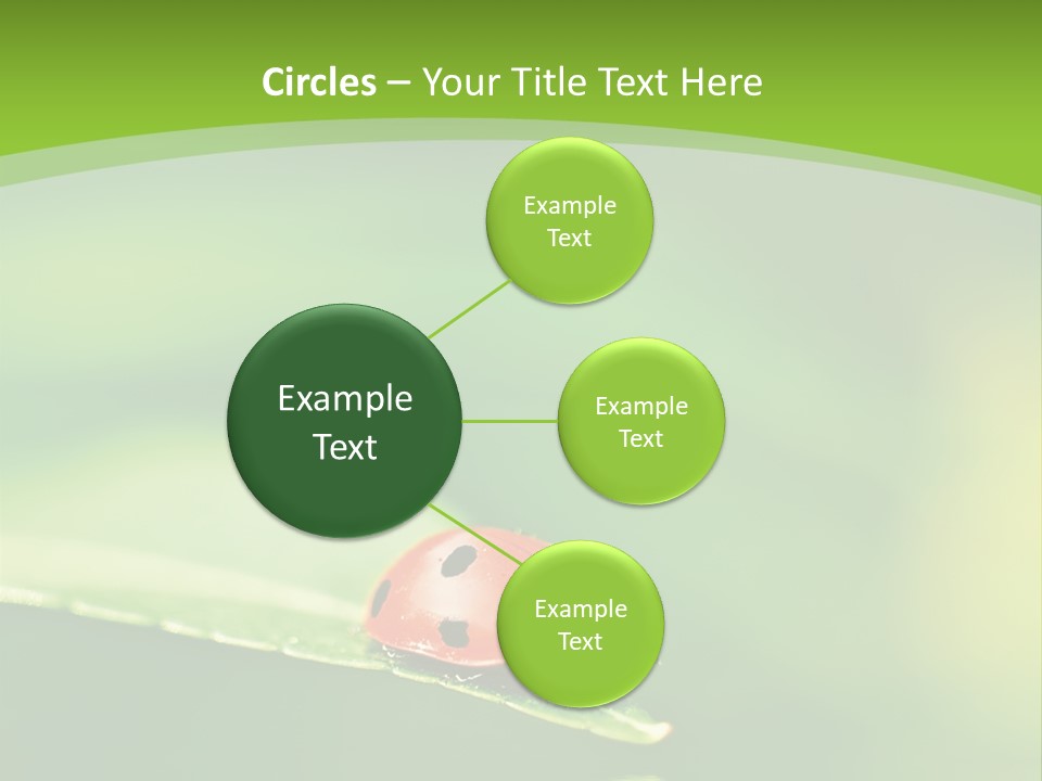 Color Beautiful Smooth PowerPoint Template