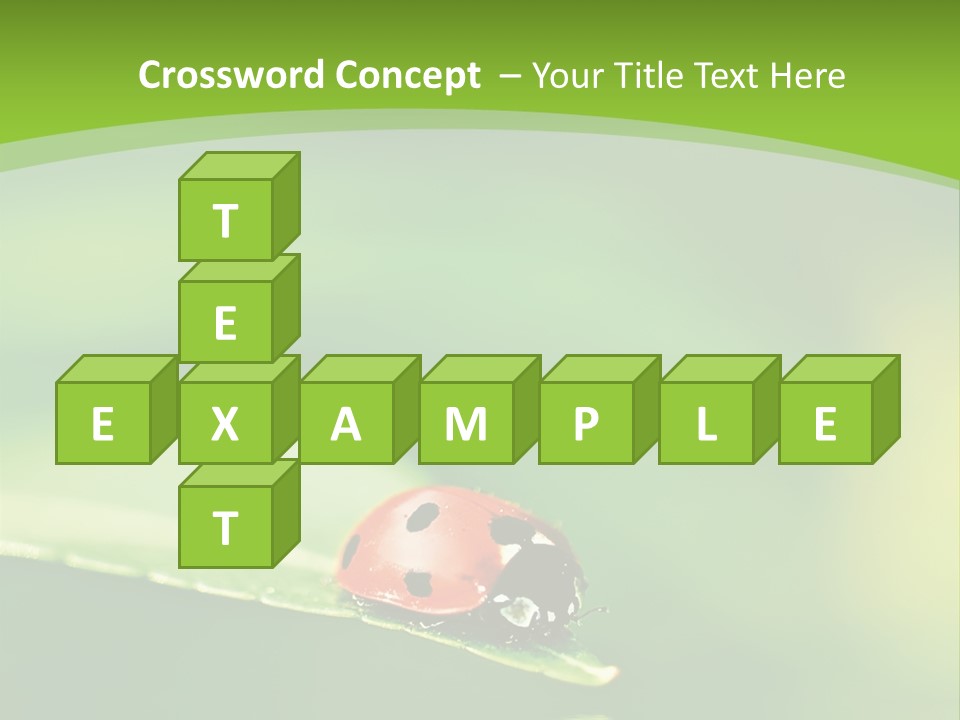 Color Beautiful Smooth PowerPoint Template