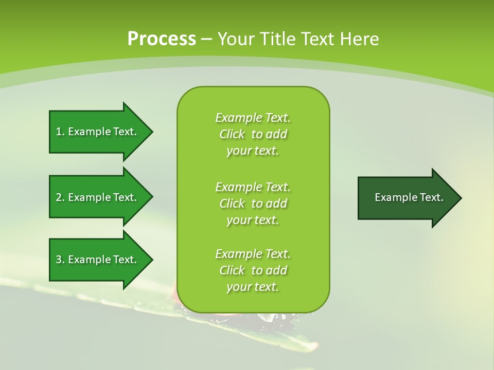 Color Beautiful Smooth PowerPoint Template