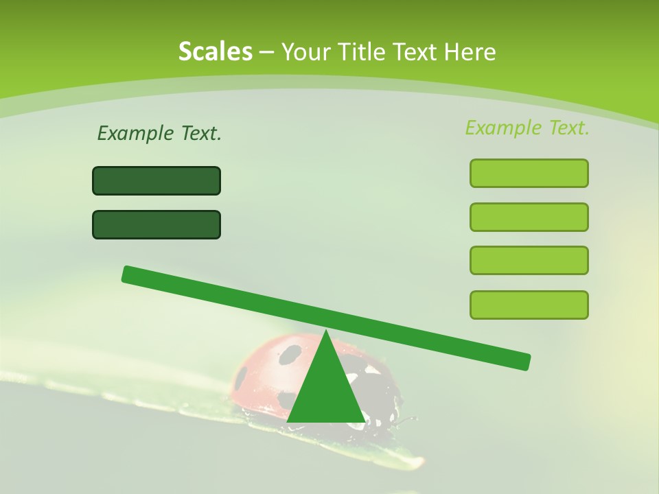 Color Beautiful Smooth PowerPoint Template