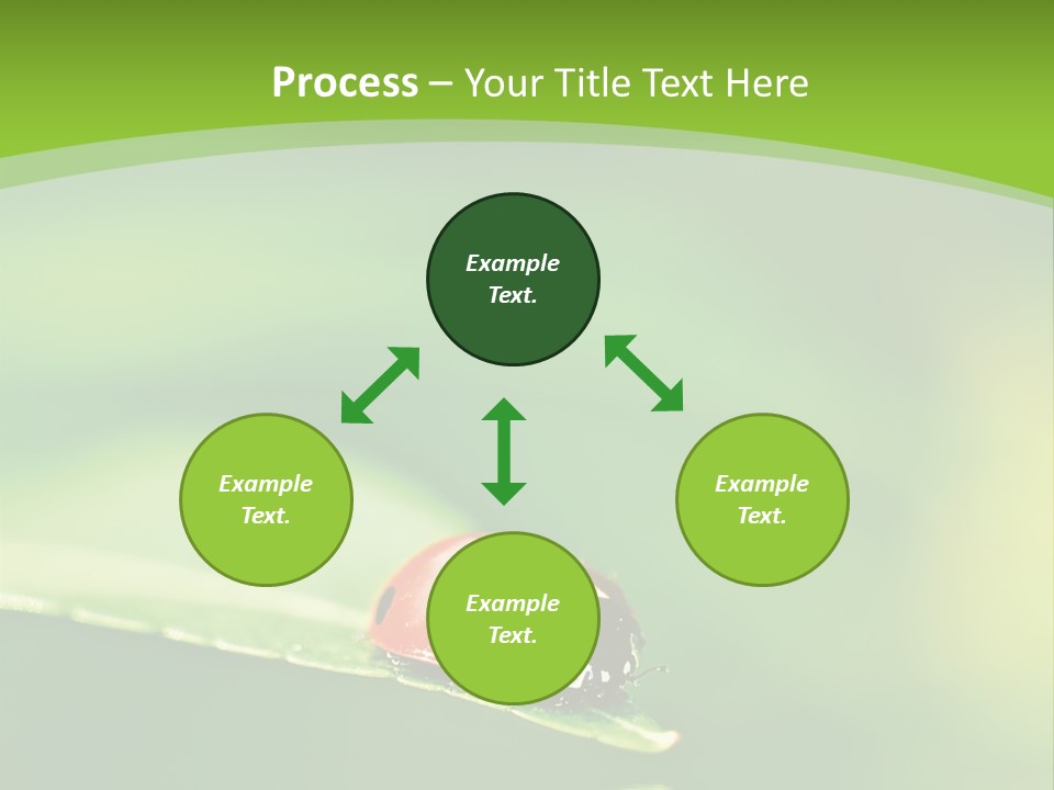 Color Beautiful Smooth PowerPoint Template