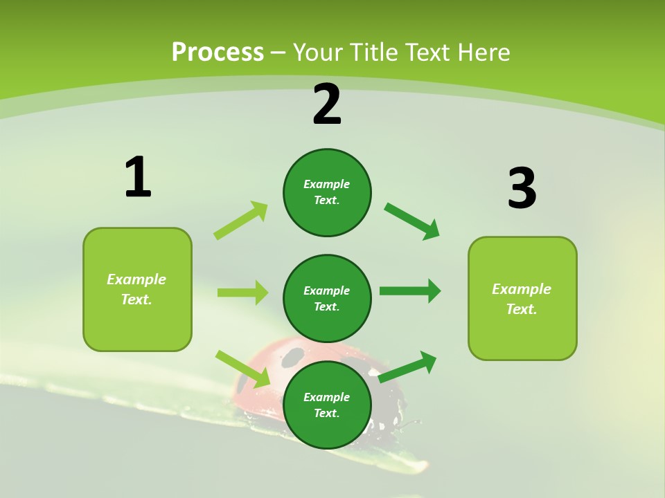 Color Beautiful Smooth PowerPoint Template