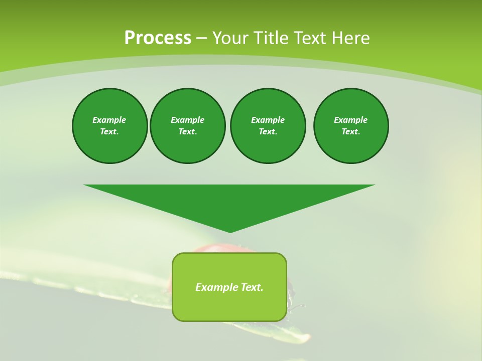 Color Beautiful Smooth PowerPoint Template