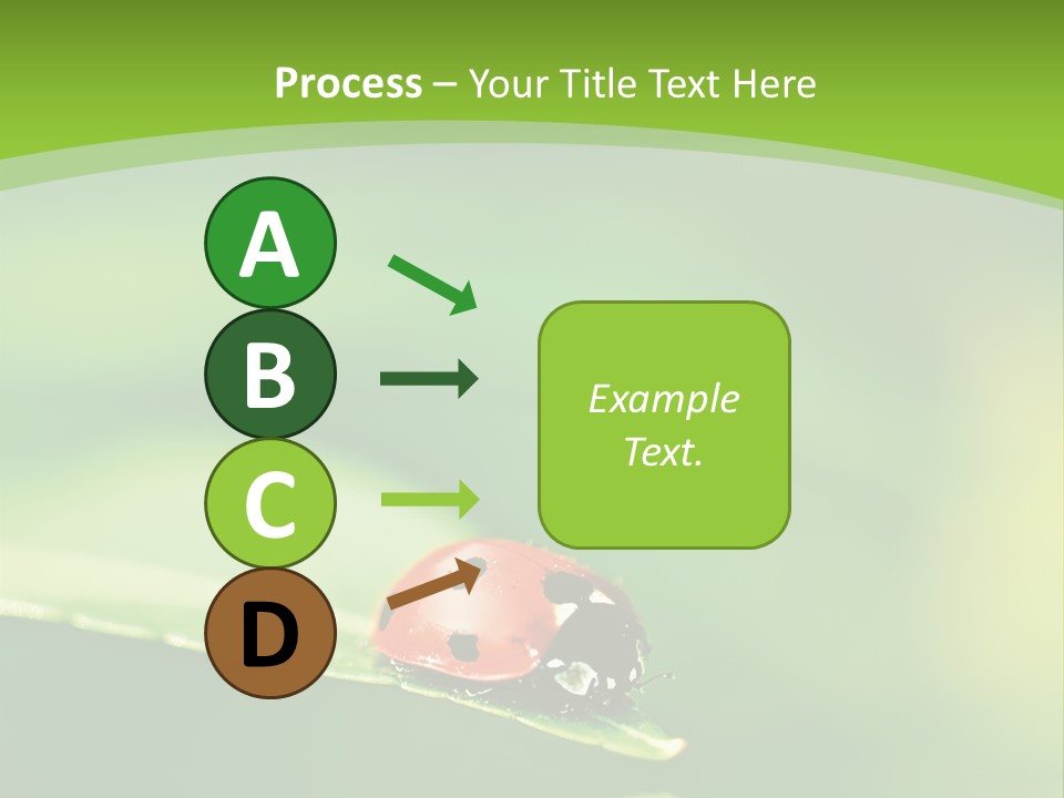 Color Beautiful Smooth PowerPoint Template