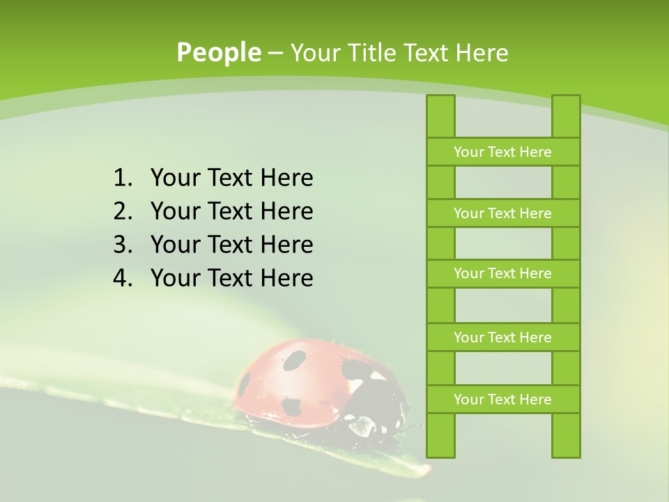Color Beautiful Smooth PowerPoint Template