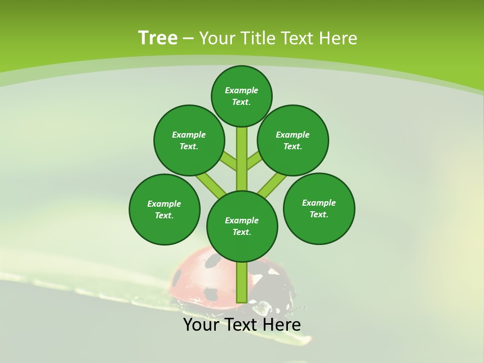 Color Beautiful Smooth PowerPoint Template