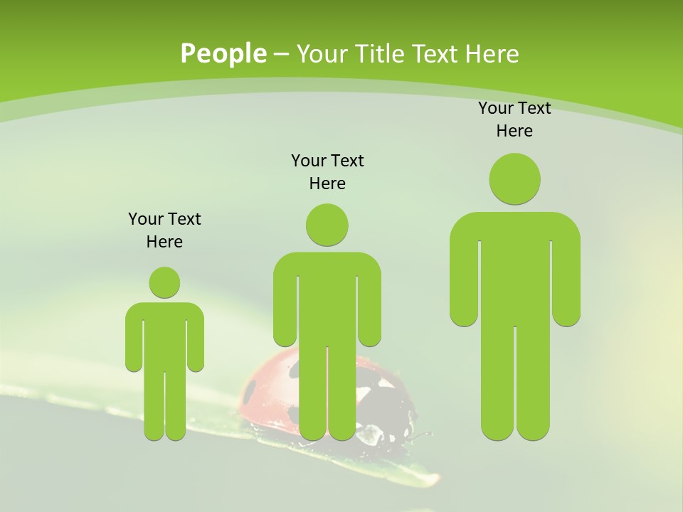 Color Beautiful Smooth PowerPoint Template