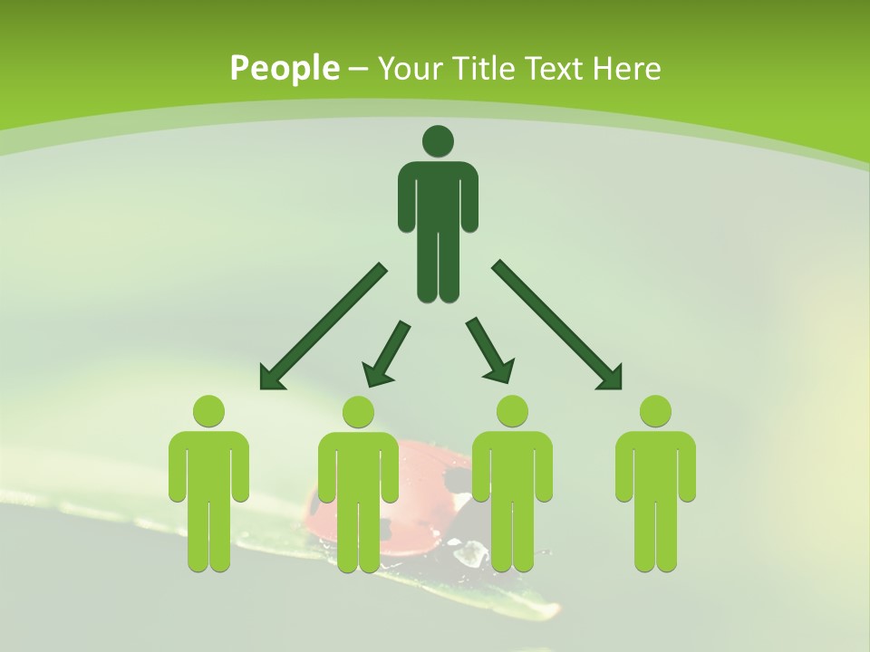 Color Beautiful Smooth PowerPoint Template