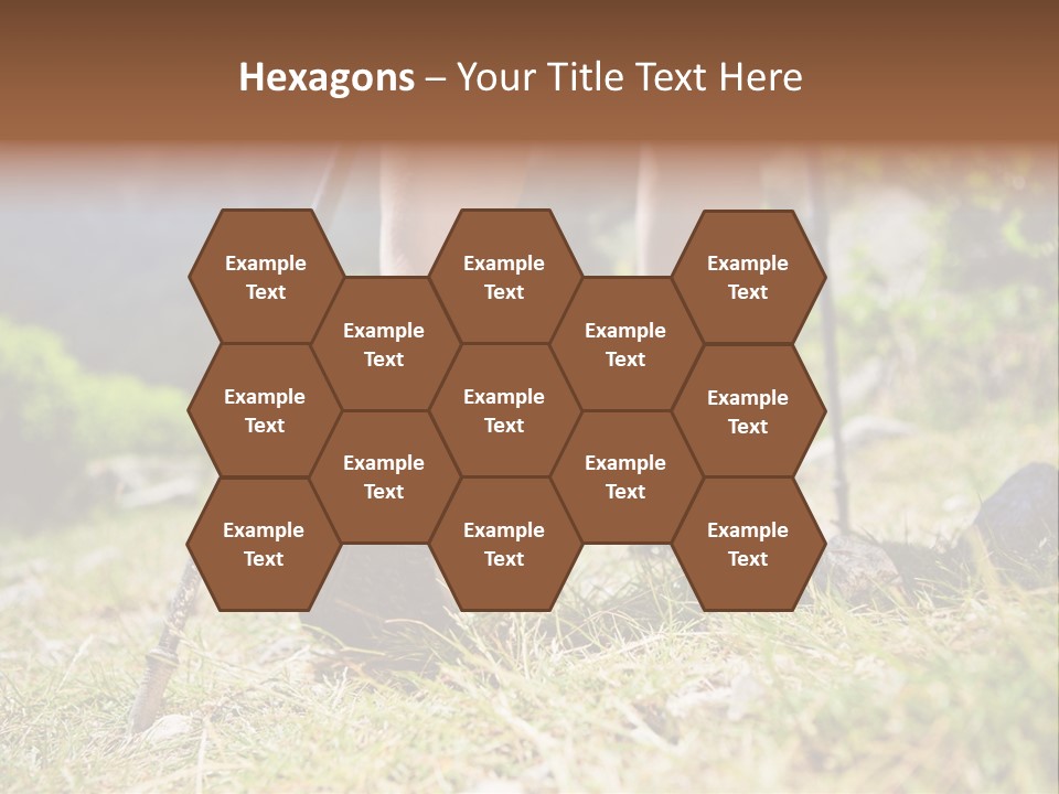 Sole Run Pole PowerPoint Template