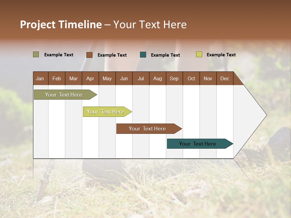 Sole Run Pole PowerPoint Template