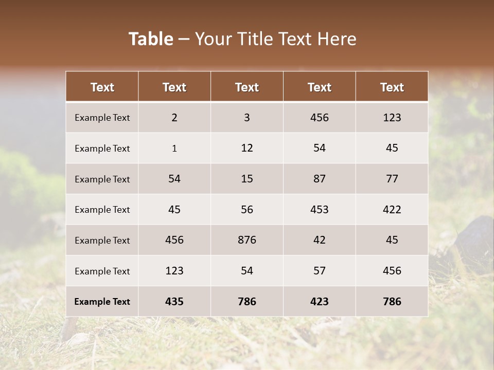 Sole Run Pole PowerPoint Template