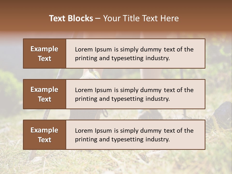 Sole Run Pole PowerPoint Template