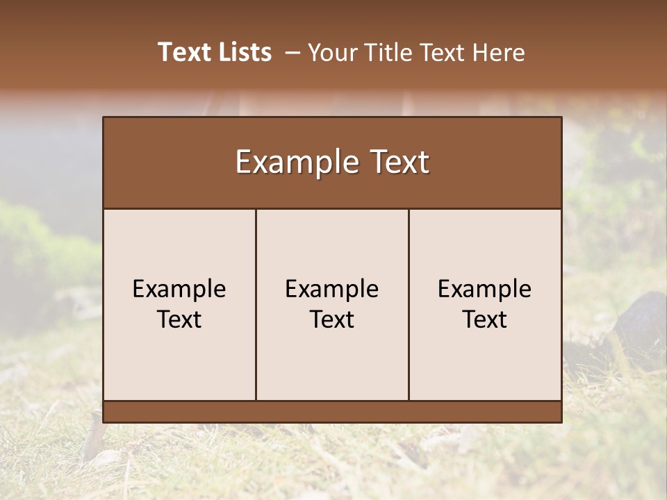 Sole Run Pole PowerPoint Template