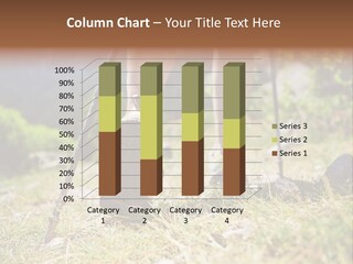 Sole Run Pole PowerPoint Template