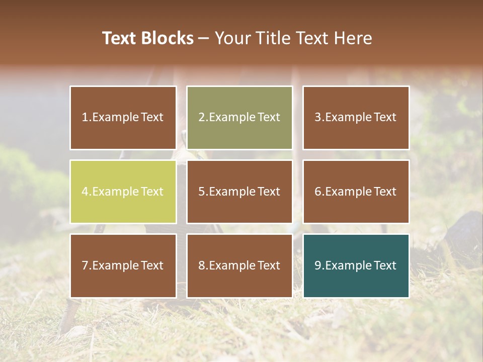 Sole Run Pole PowerPoint Template