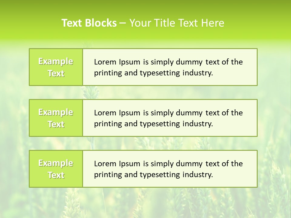 Seed Reaping Wheat PowerPoint Template