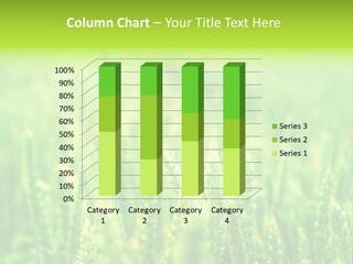 Seed Reaping Wheat PowerPoint Template