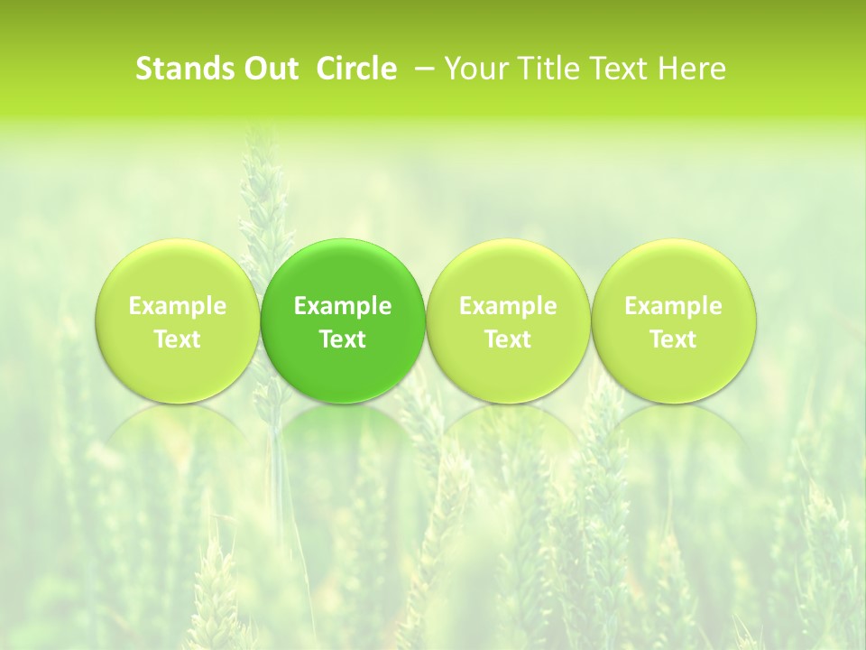Seed Reaping Wheat PowerPoint Template