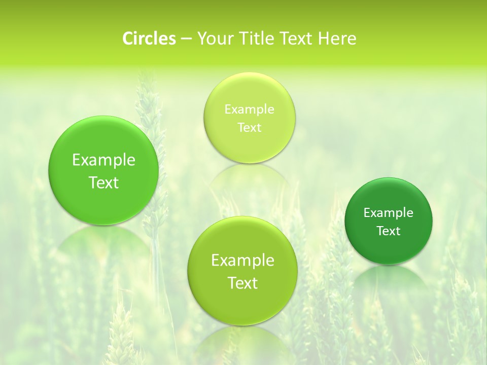 Seed Reaping Wheat PowerPoint Template