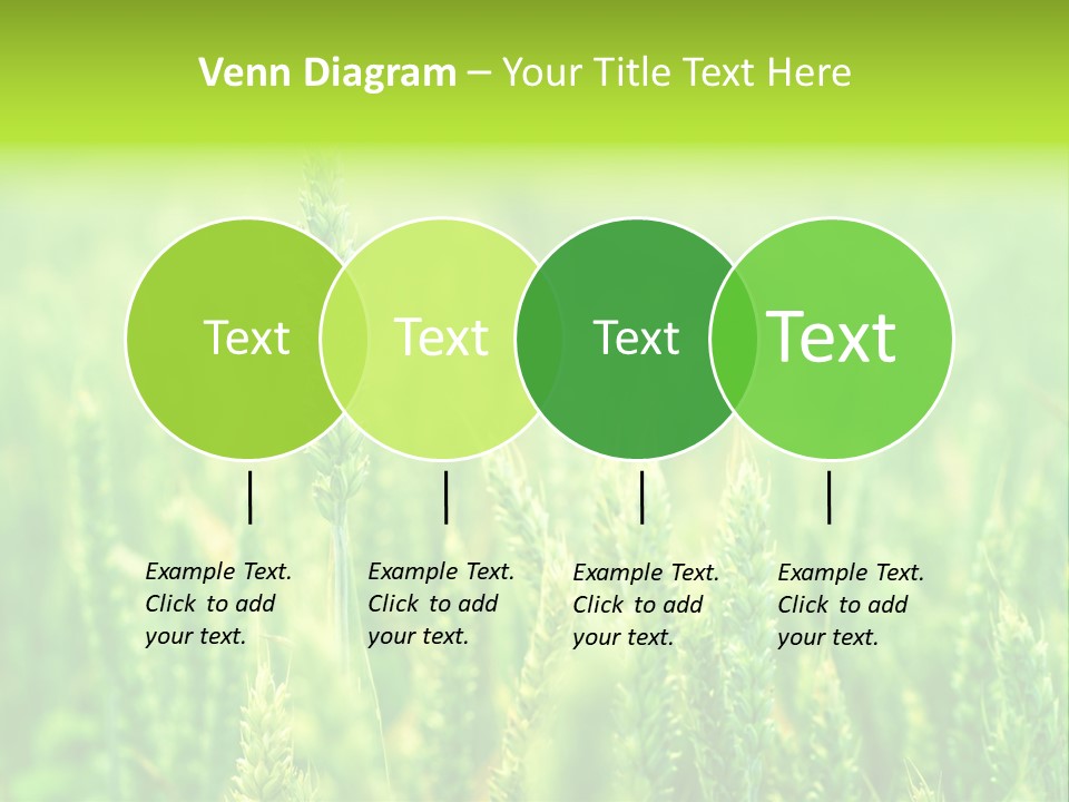 Seed Reaping Wheat PowerPoint Template