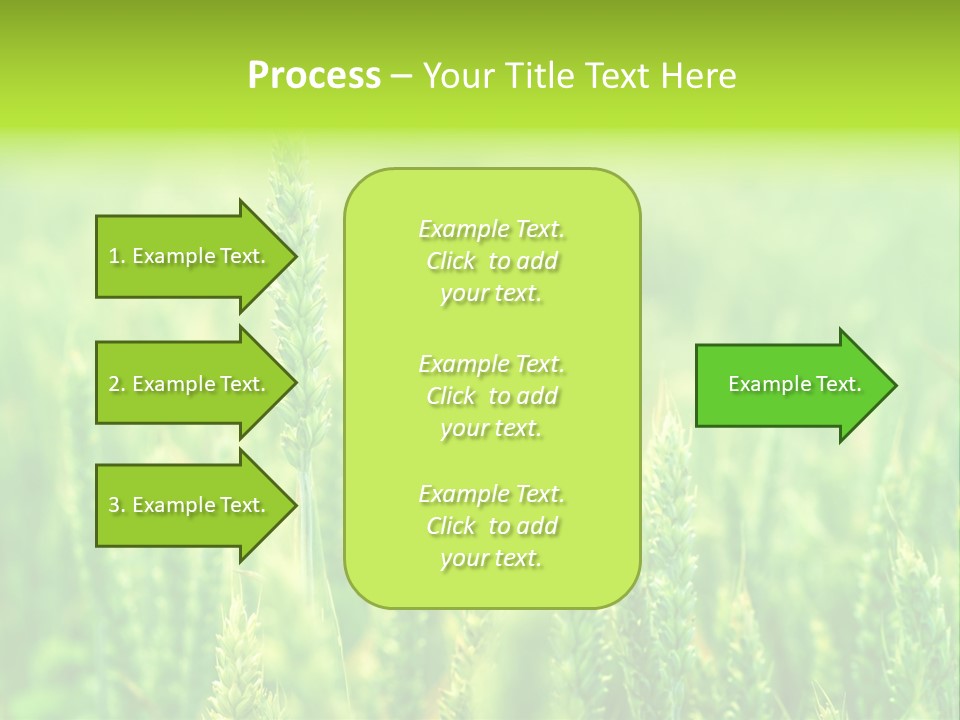 Seed Reaping Wheat PowerPoint Template