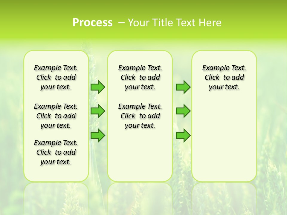 Seed Reaping Wheat PowerPoint Template