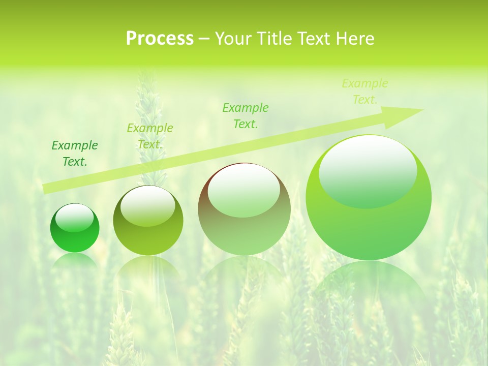 Seed Reaping Wheat PowerPoint Template