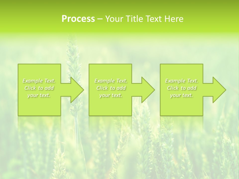 Seed Reaping Wheat PowerPoint Template