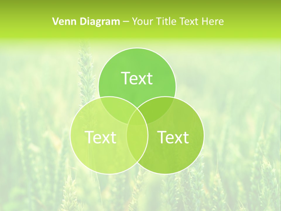 Seed Reaping Wheat PowerPoint Template