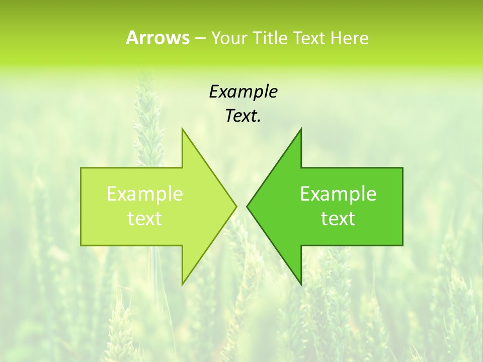 Seed Reaping Wheat PowerPoint Template