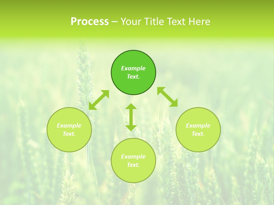 Seed Reaping Wheat PowerPoint Template