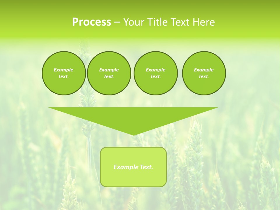 Seed Reaping Wheat PowerPoint Template