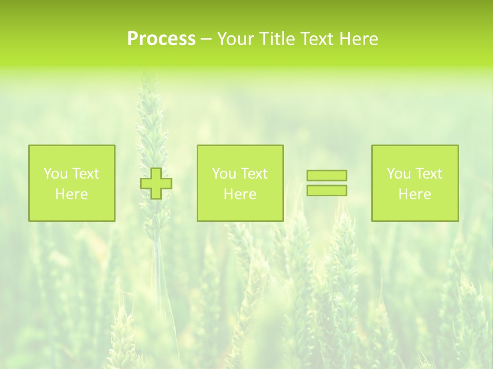 Seed Reaping Wheat PowerPoint Template