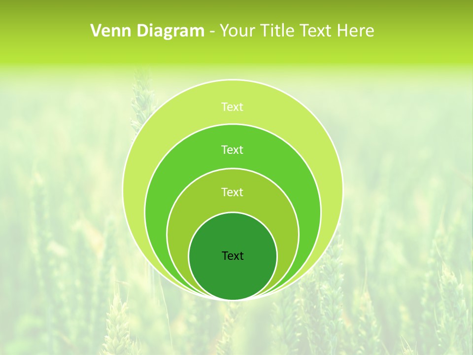 Seed Reaping Wheat PowerPoint Template