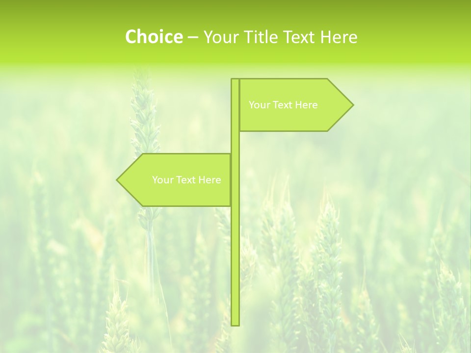 Seed Reaping Wheat PowerPoint Template