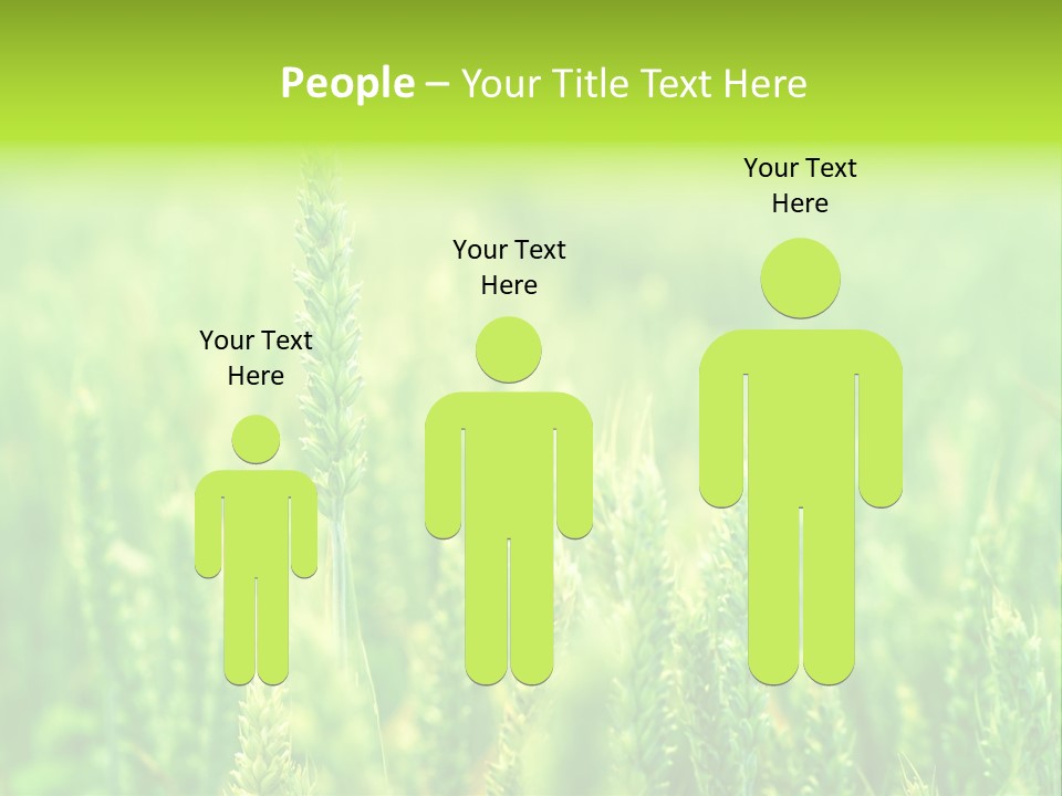 Seed Reaping Wheat PowerPoint Template