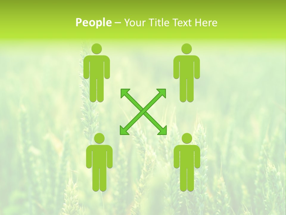 Seed Reaping Wheat PowerPoint Template