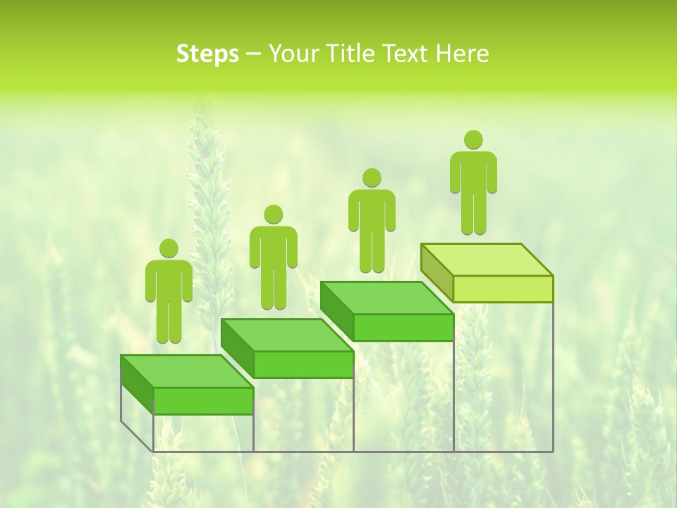 Seed Reaping Wheat PowerPoint Template