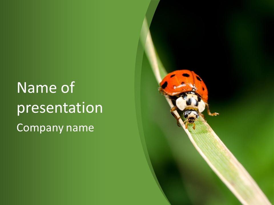 Frontal View Nature Helper PowerPoint Template