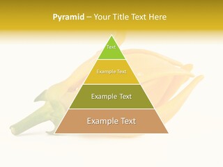 Ylang Ylang Plant Background PowerPoint Template