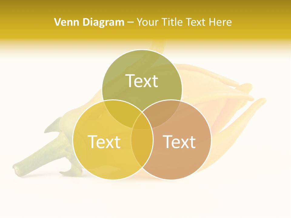 Ylang Ylang Plant Background PowerPoint Template