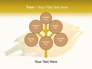 Ylang Ylang Plant Background PowerPoint Template